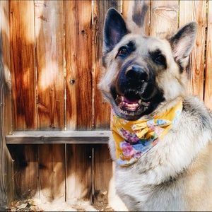 Mustard Flower handmade Pet Bandana